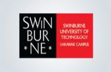 swin_bur_ne